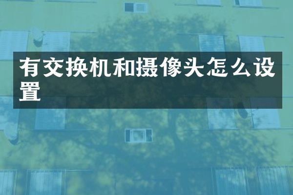 有交换机和摄像头怎么设置