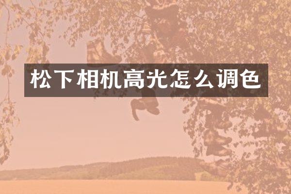 相机高光怎么调色