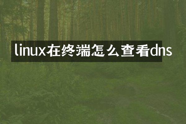 linux在终端怎么查看dns