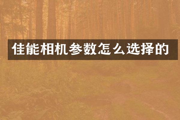 佳能相机参数怎么选择的