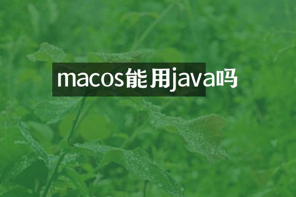 macos能用java吗