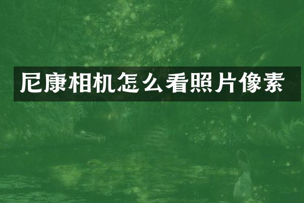 尼康相机怎么看照片像素