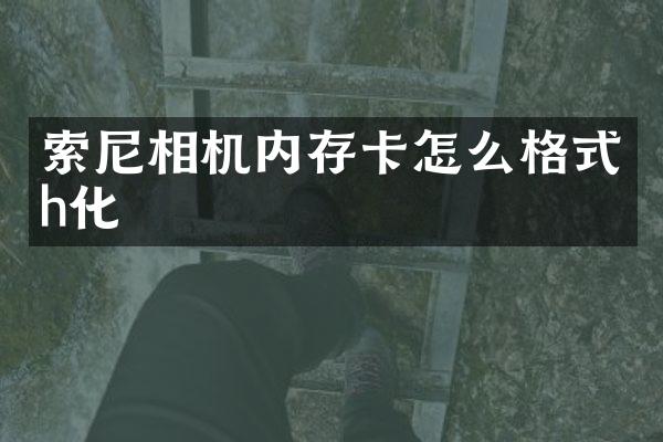 相机内存卡怎么格式h化