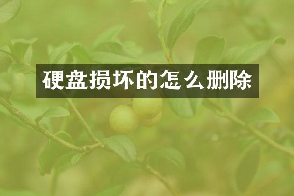 硬盘损坏的怎么删除