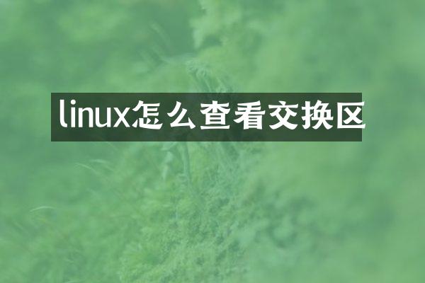 linux怎么查看交换区