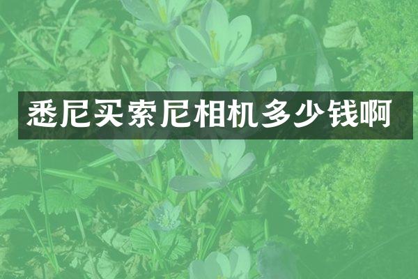 悉尼买相机多少钱啊