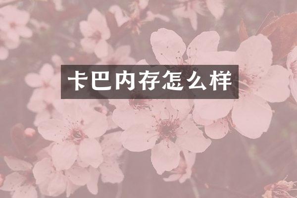 卡巴内存怎么样