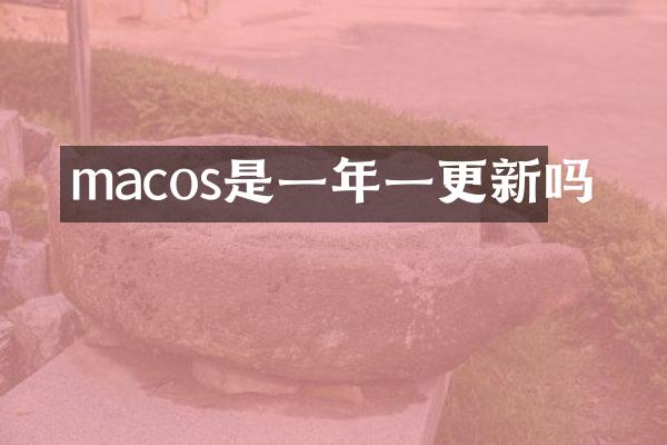 macos是一年一更新吗