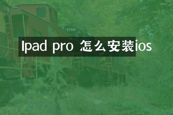 Ipad pro 怎么安装ios