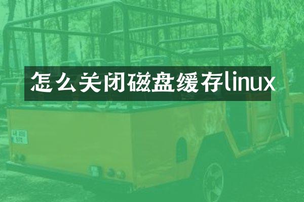 怎么关闭磁盘缓存linux