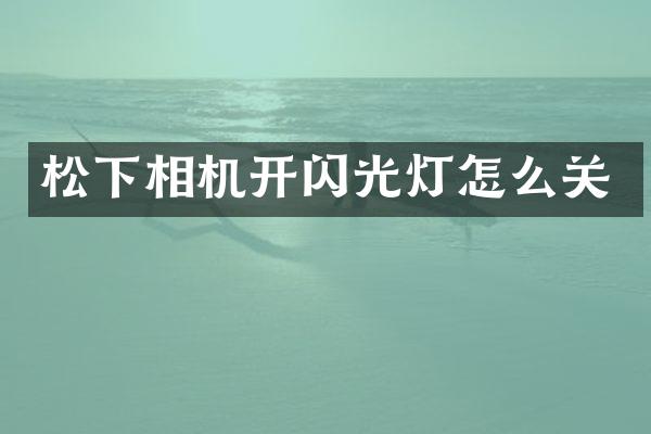 相机开闪光灯怎么关