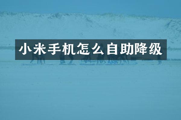 小米手机怎么自助降级