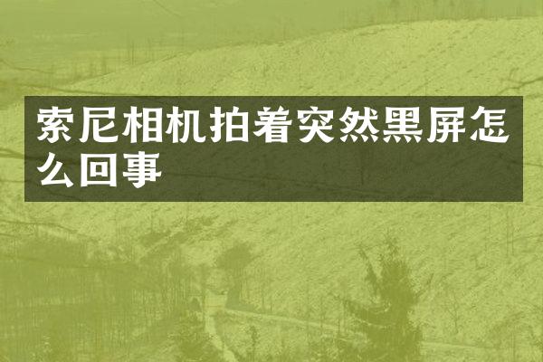 相机拍着突然黑屏怎么回事