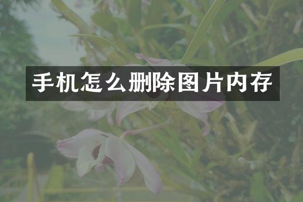 手机怎么删除图片内存