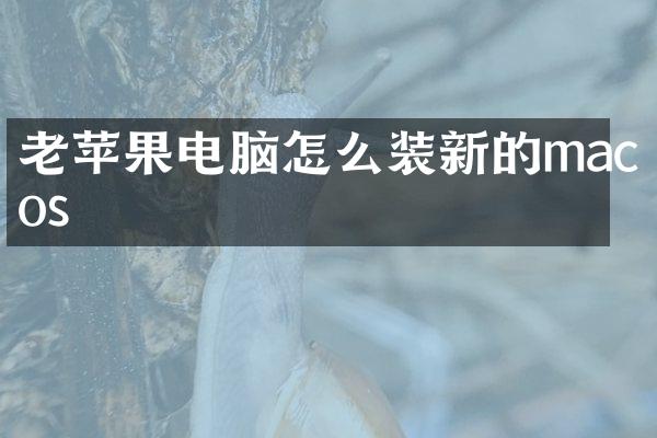 老苹果电脑怎么装新的macos