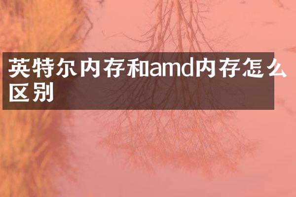 英特尔内存和amd内存怎么区别