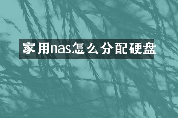 家用nas怎么分配硬盘