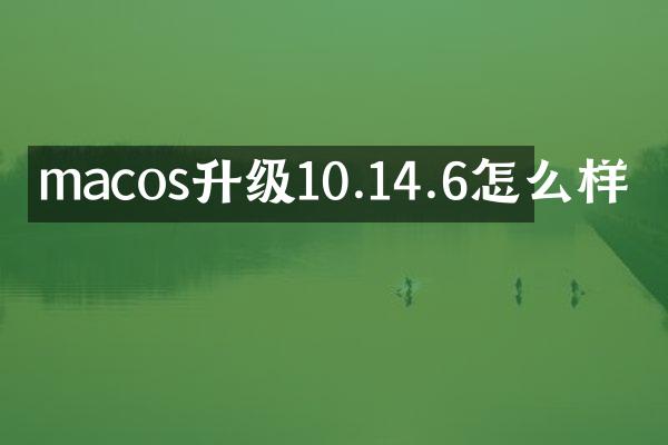 macos升级10.14.6怎么样
