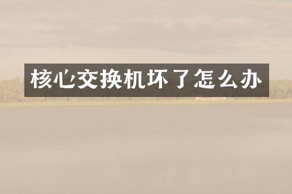 核心交换机坏了怎么办