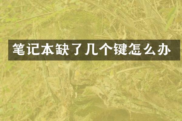 笔记本缺了几个键怎么办