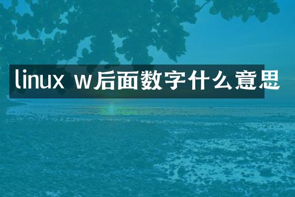 linux w后面数字什么意思