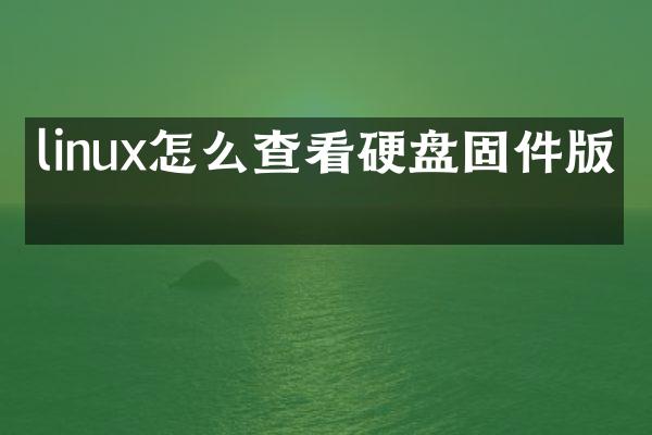 linux怎么查看硬盘固件版本