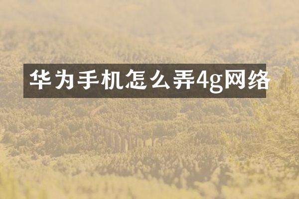华为手机怎么弄4g网络