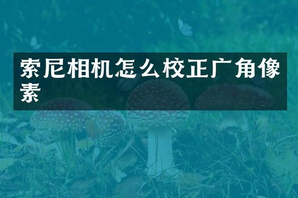 相机怎么校正广角像素