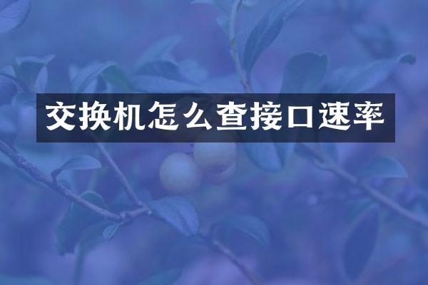 交换机怎么查接口速率