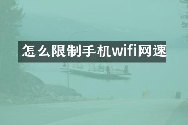 怎么限制手机wifi网速