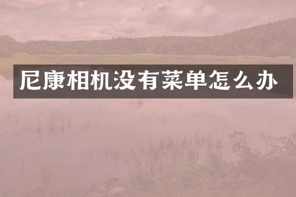 尼康相机没有菜单怎么办