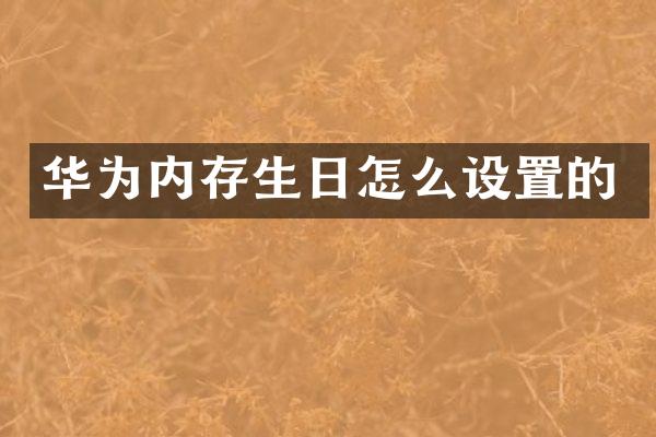 华为内存生日怎么设置的