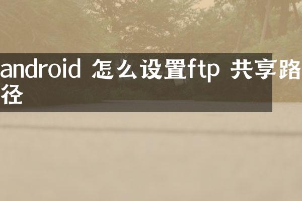 android 怎么设置ftp 共享路径