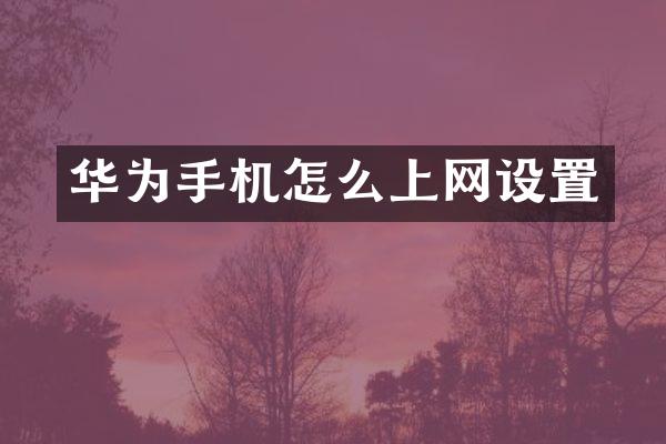 华为手机怎么上网设置