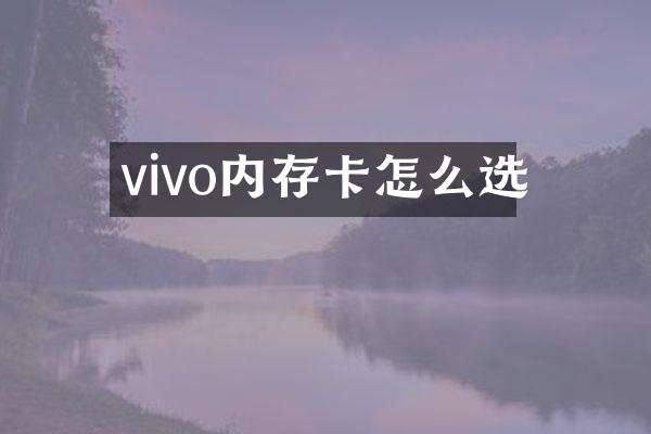 vivo内存卡怎么选