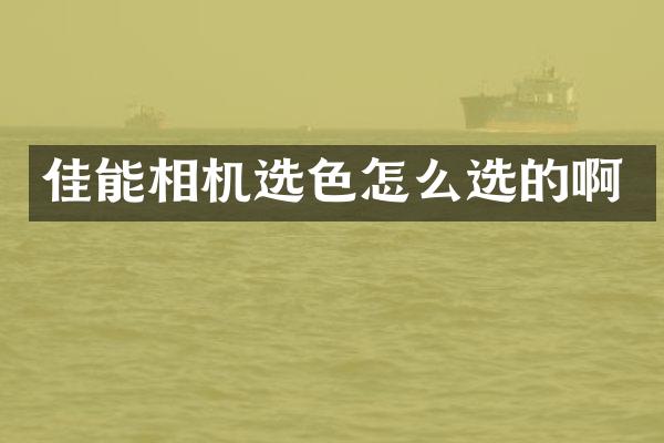 佳能相机选色怎么选的啊