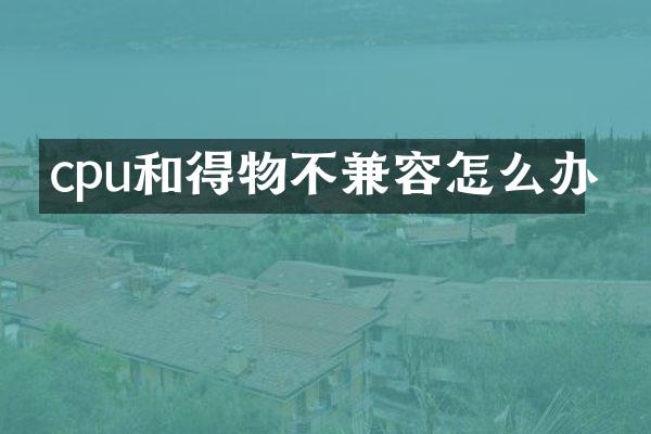 cpu和得物不兼容怎么办
