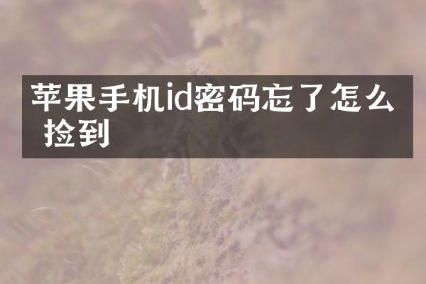 苹果手机id密码忘了怎么办 捡到