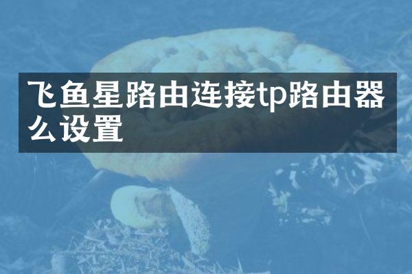 飞鱼星路由连接tp路由器怎么设置