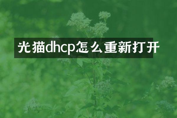 光猫dhcp怎么重新打开
