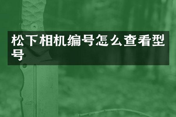 相机编号怎么查看型号