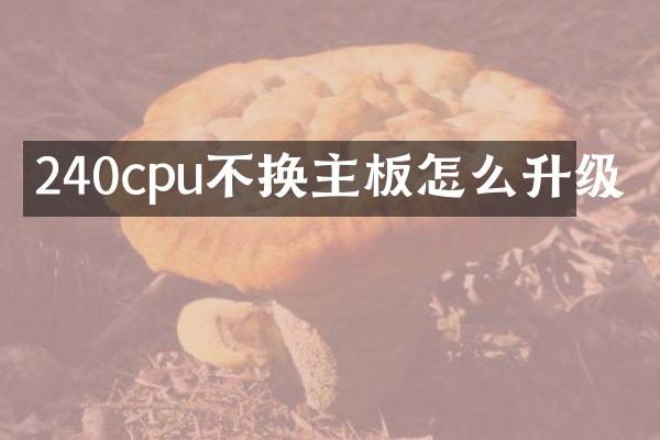 240cpu不换主板怎么升级