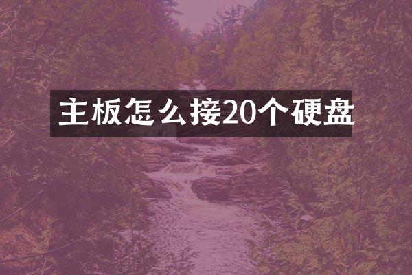 主板怎么接20个硬盘
