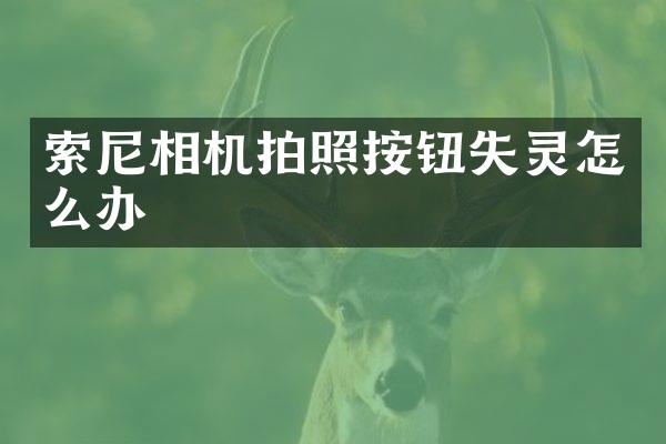 相机拍照按钮失灵怎么办