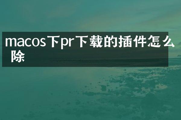macos下pr下载的插件怎么删除