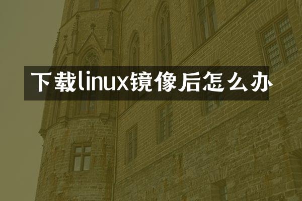 下载linux镜像后怎么办