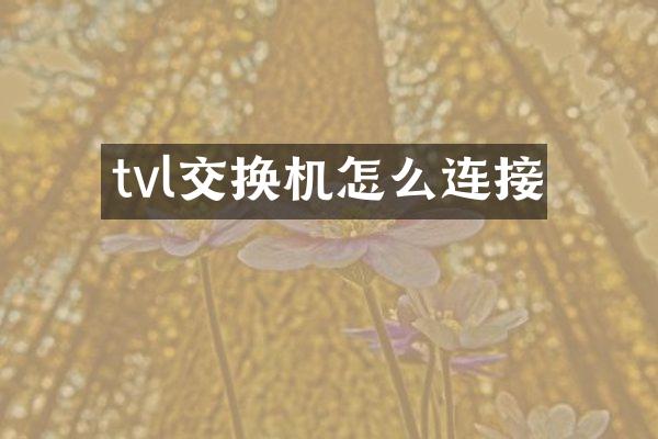 tvl交换机怎么连接