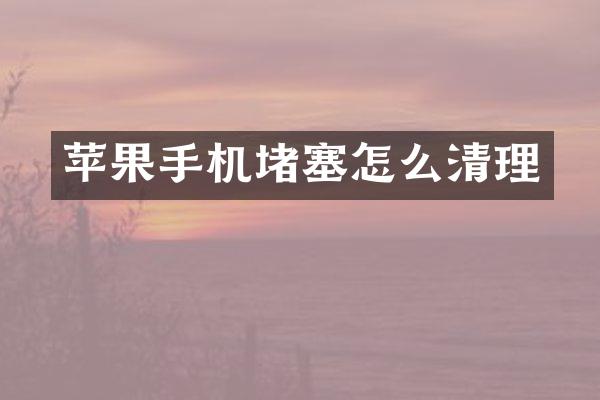 苹果手机堵塞怎么清理