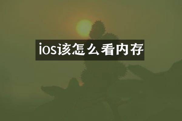ios该怎么看内存