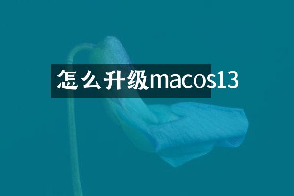 怎么升级macos13